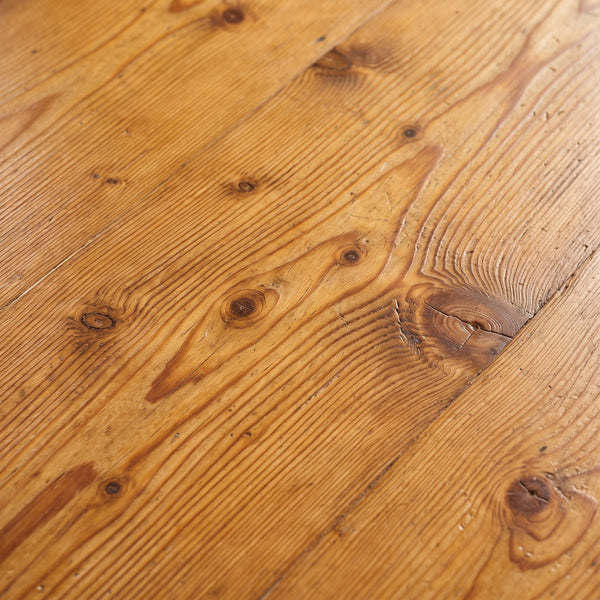 Old Pine