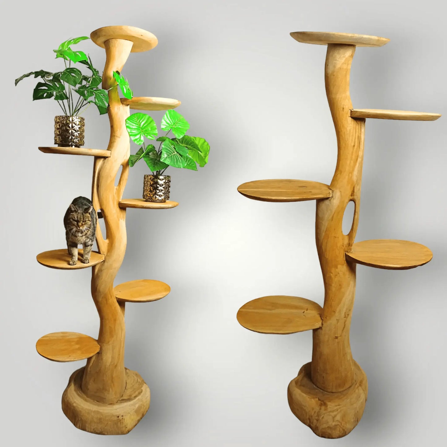 Feline - Fine Tree sculpture | Model Sphynx - Larix - Meubelen.be