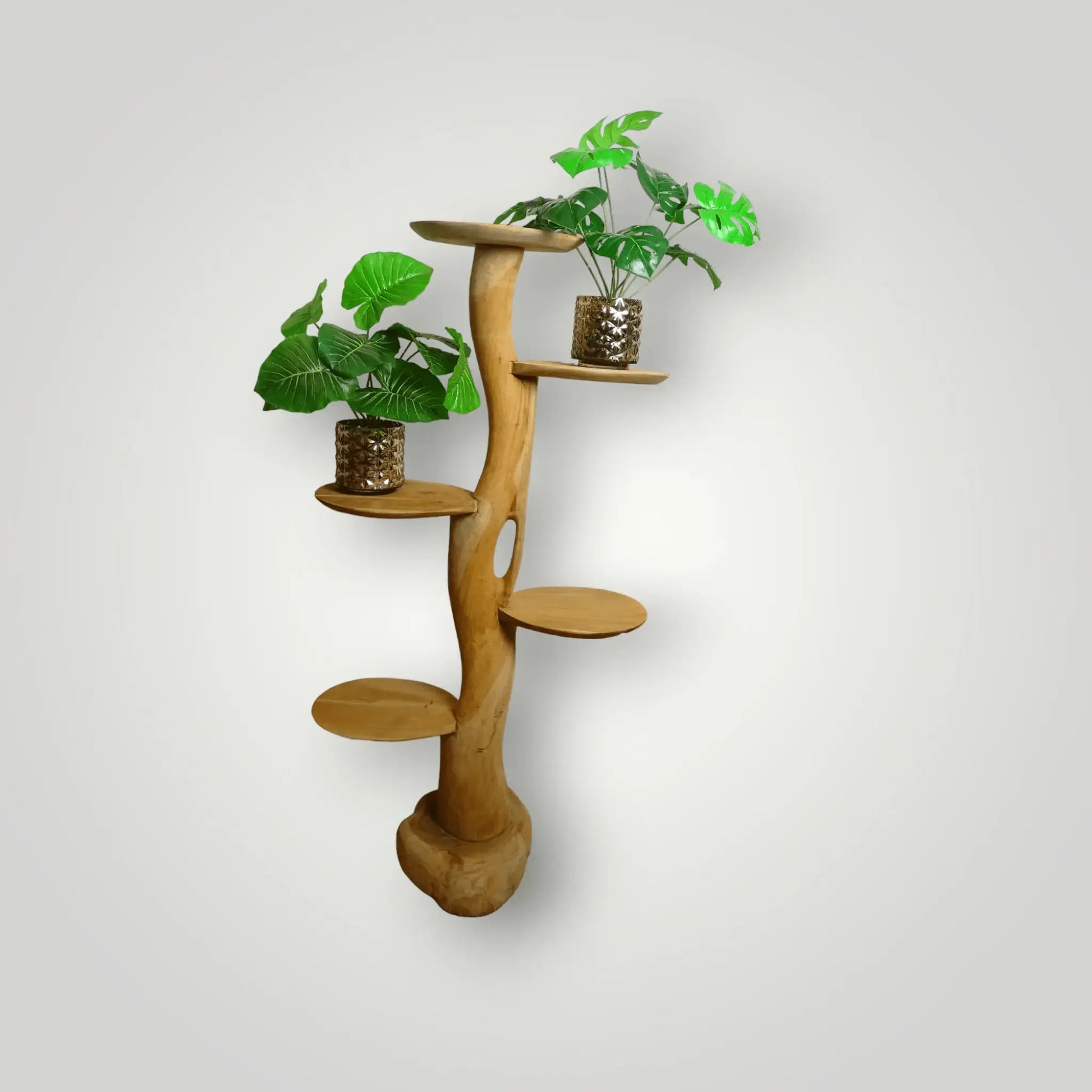 Feline - Fine Tree sculpture | Model Sphynx - Larix - Meubelen.be