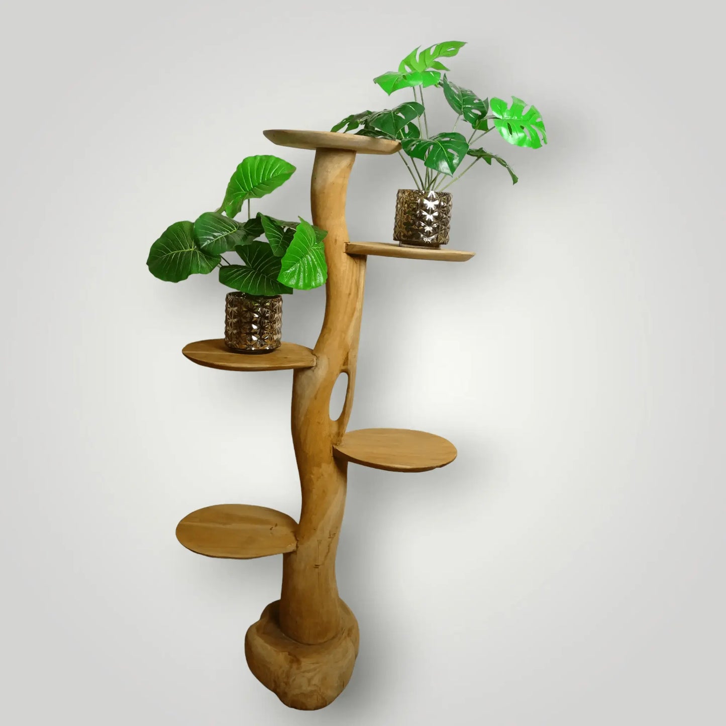 Feline - Fine Tree sculpture | Model Sphynx - Larix - Meubelen.be