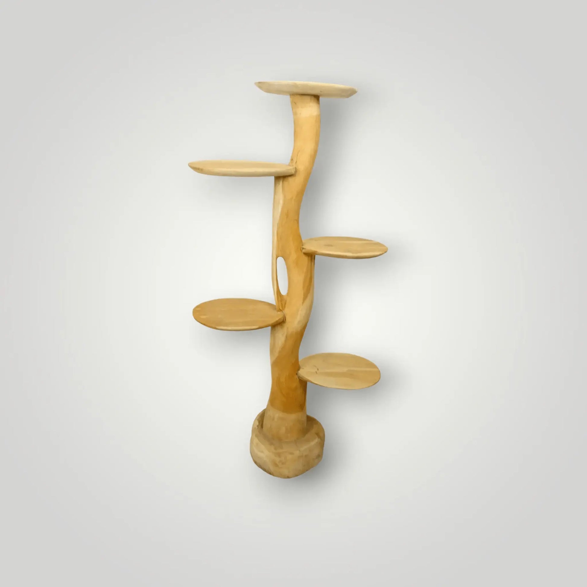 Feline - Fine Tree sculpture | Model Sphynx - Larix - Meubelen.be