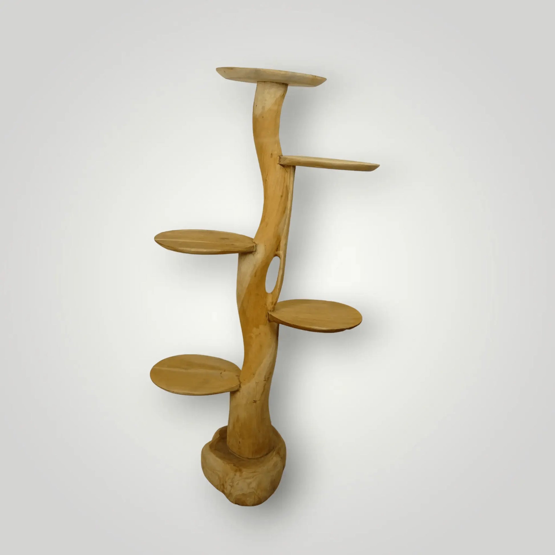 Feline - Fine Tree sculpture | Model Sphynx - Larix - Meubelen.be