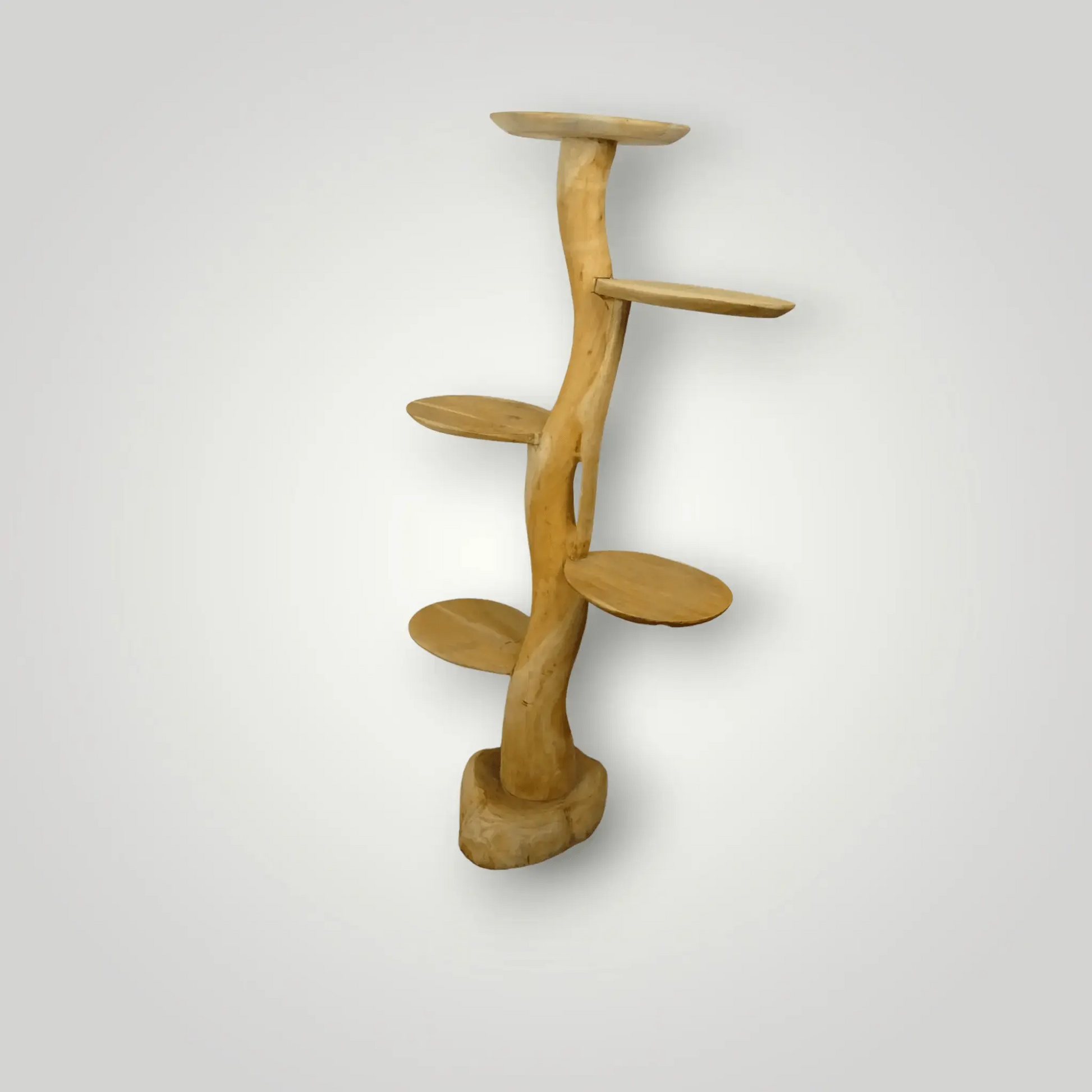 Feline - Fine Tree sculpture | Model Sphynx - Larix - Meubelen.be